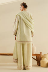 CR25P0229 CR25P0229