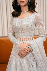 LIARA-SRF-D-01 LIARA-SRF-D-01