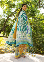 LIANA - B - Sadaf Fawad Khan LIANA - B - Sadaf Fawad Khan