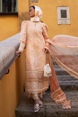 ALLURING APRICOT- Ansab Jahangir