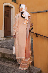 ALLURING APRICOT- Ansab Jahangir