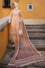 ALLURING APRICOT- Ansab Jahangir
