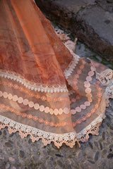 ALLURING APRICOT- Ansab Jahangir