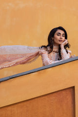 ALLURING APRICOT- Ansab Jahangir