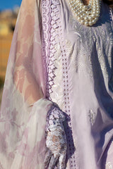 FRENCH LAVENDER - Ansab Jahangir
