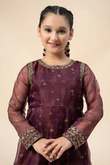 3 Piece Embroidered Cotton Net Suit | MKS-W24-01