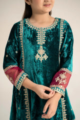 3 Piece Embroidered Velvet Suit | MKS-W24-16