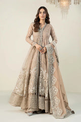 3 Piece Embroidered Organza Suit | SF-W24-7