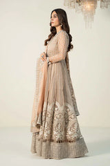 3 Piece Embroidered Organza Suit | SF-W24-7