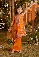 AJLK-06 EMBROIDERED POLY CHIFFON 3 PCS