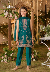 AJLK-01 EMBROIDERED POLY CHIFFON 3 PCS