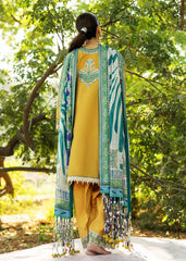 LIANA - B - Sadaf Fawad Khan