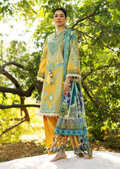 LIANA - B - Sadaf Fawad Khan