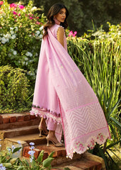 FRENCH HEARTS - B - Sadaf Fawad Khan