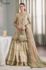 EMBROIDERED CHIFFON CH12-04