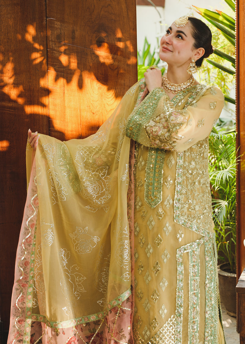 WEDDING COLLECTION 24- TNI - Riwayah